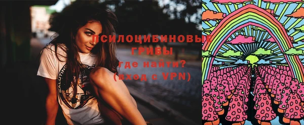прущая мука Новодвинск