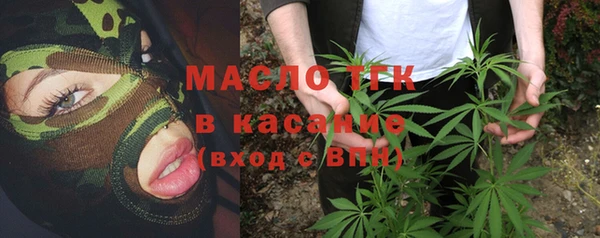 тгк Новозыбков